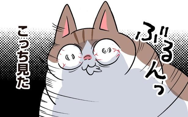 こっち見た （C）こばん／KADOKAWA