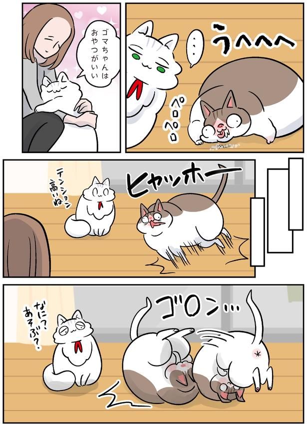 テンション高いね （C）こばん／KADOKAWA