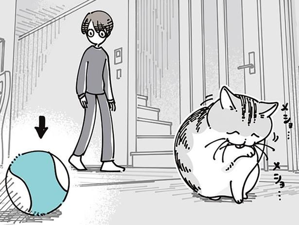 そばに置いている （C）キュルZ／KADOKAWA