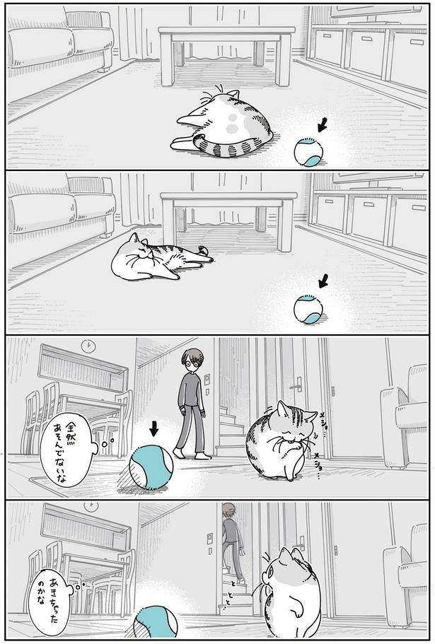 全然あそんでないな （C）キュルZ／KADOKAWA