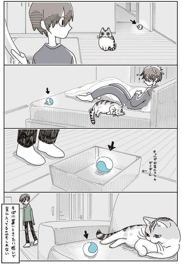 お気に入りの段ボールに （C）キュルZ／KADOKAWA