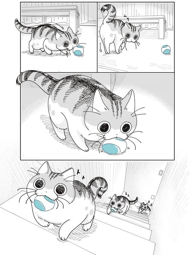 おもちゃをくわえて （C）キュルZ／KADOKAWA
