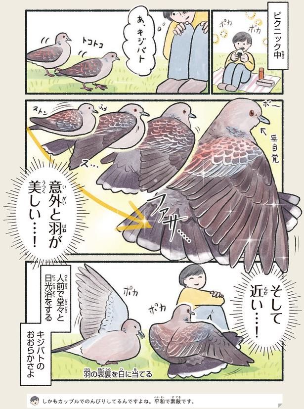 意外と羽が美しい…！ （C）piro piro piccolo／KADOKAWA