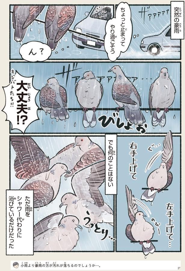 大丈夫！？ （C）piro piro piccolo／KADOKAWA