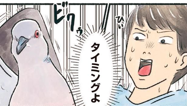 タイミングよ （C）piro piro piccolo／KADOKAWA