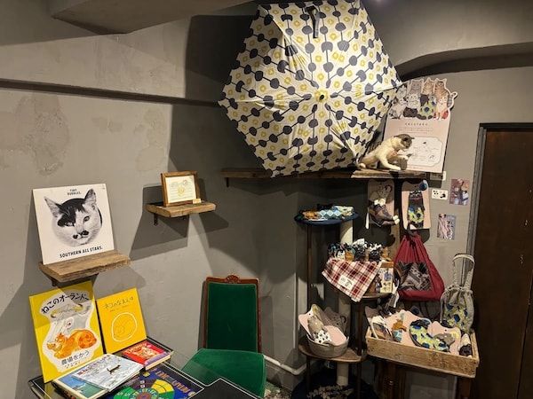 【東京都江東区】「世界ネコの日」にネコグッズ専門店「ネコシカ」が開店！オープンキャンペーンも実施