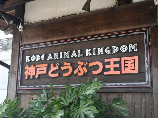 「神戸どうぶつ王国」はポートアイランドにある。三宮駅からポートライナーで約14分