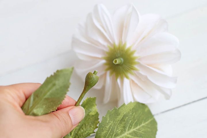 短い茎をカット