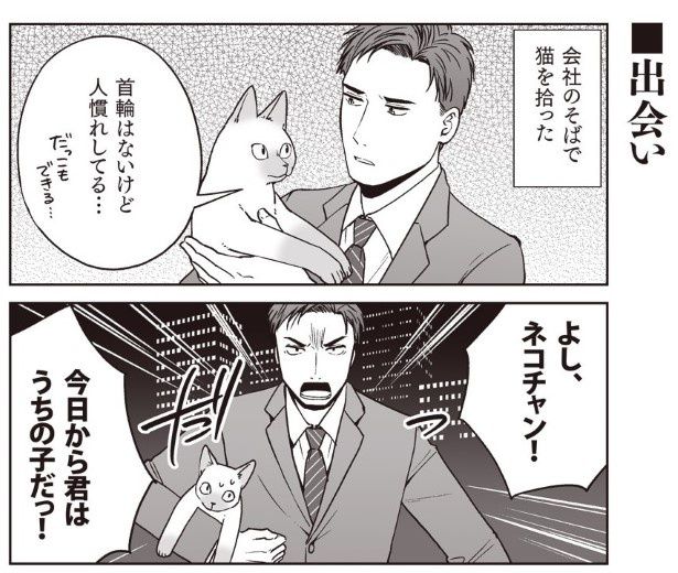 どこかで猫を拾うことがあったら、そのときは飼おうと心に決めていた 春日有(@arikasuga）