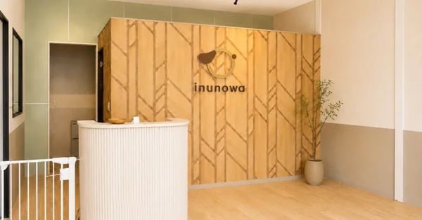 【埼玉県さいたま市】「ワンちゃんの幼稚園 inunowa」がオープン！体験入園＆入園料無料キャンペーンも