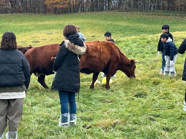 【岩手県久慈市】牛とふれあい、地域の自然や食を体験する2日間！親子向け「いのちの物語体験」ツアー