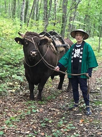 【岩手県久慈市】牛とふれあい、地域の自然や食を体験する2日間！親子向け「いのちの物語体験」ツアー