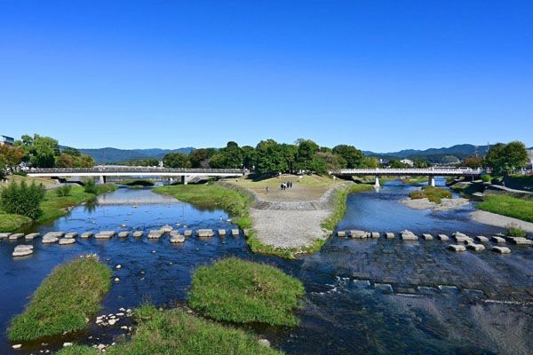 【京都府京都市】開催中「きょうのいきもの大調査」京都市内で自然観察を楽しみながらいきものを探そう