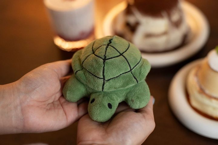 かわいいカメグッズも販売