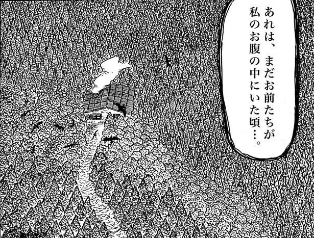 画像提供：森本大百科(@mdaihyakka)
