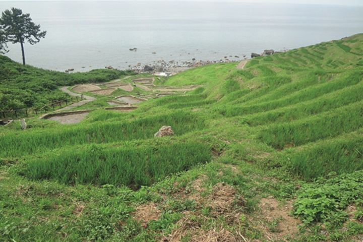 “知って走る応援”能登はライダーを待っている
