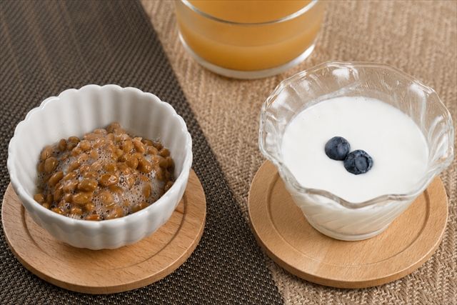 酢酸菌×乳酸菌や納豆菌との相乗効果も