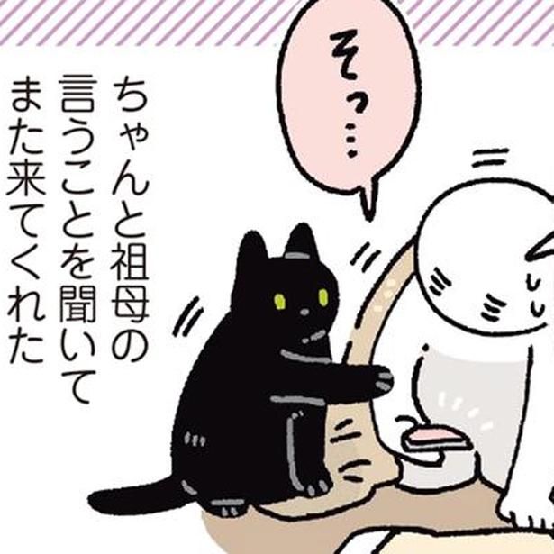 祖母のお手伝いをがんばる黒猫ろん （C）AKR／KADOKAWA