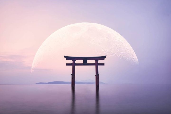 2026年8月13日(木)