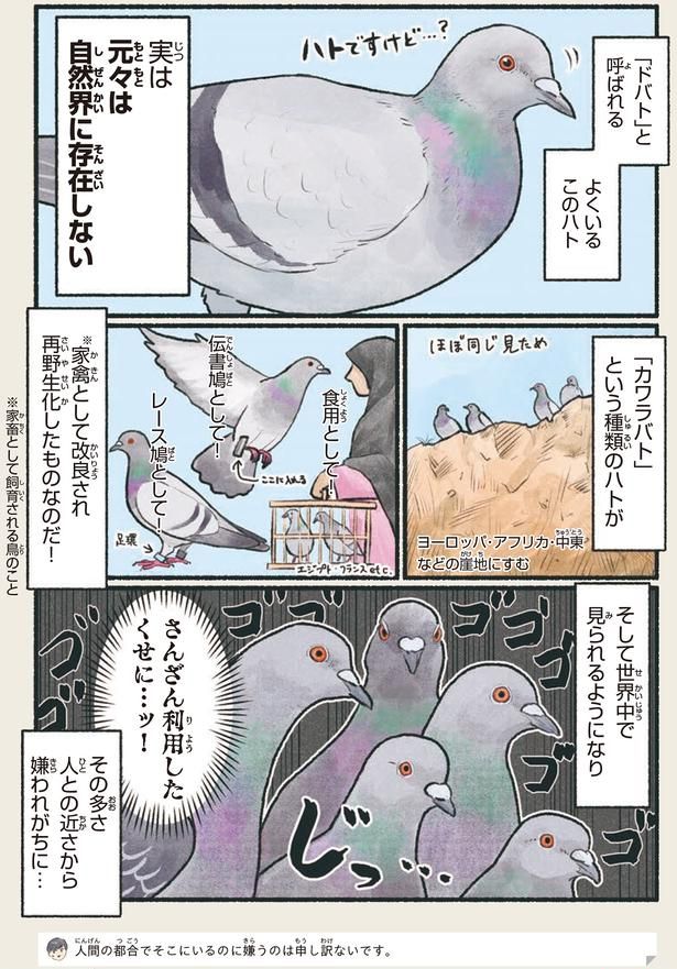 さんざん利用したくせに…ッ！ （C）piro piro piccolo／KADOKAWA