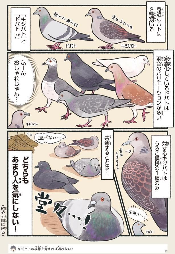 ふーん おしゃれじゃん… （C）piro piro piccolo／KADOKAWA