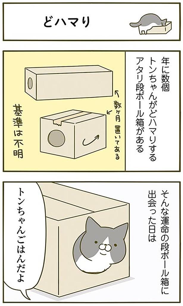 どハマり （C）卵山玉子／KADOKAWA