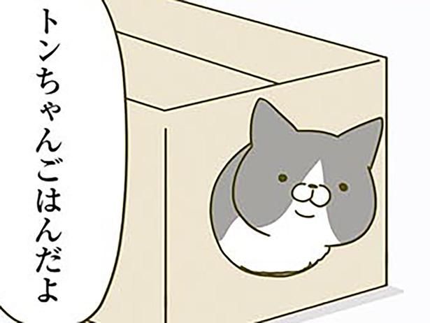 運命の段ボール箱 （C）卵山玉子／KADOKAWA