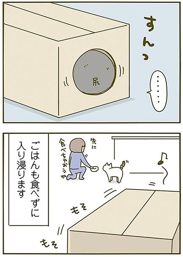 すんっ （C）卵山玉子／KADOKAWA