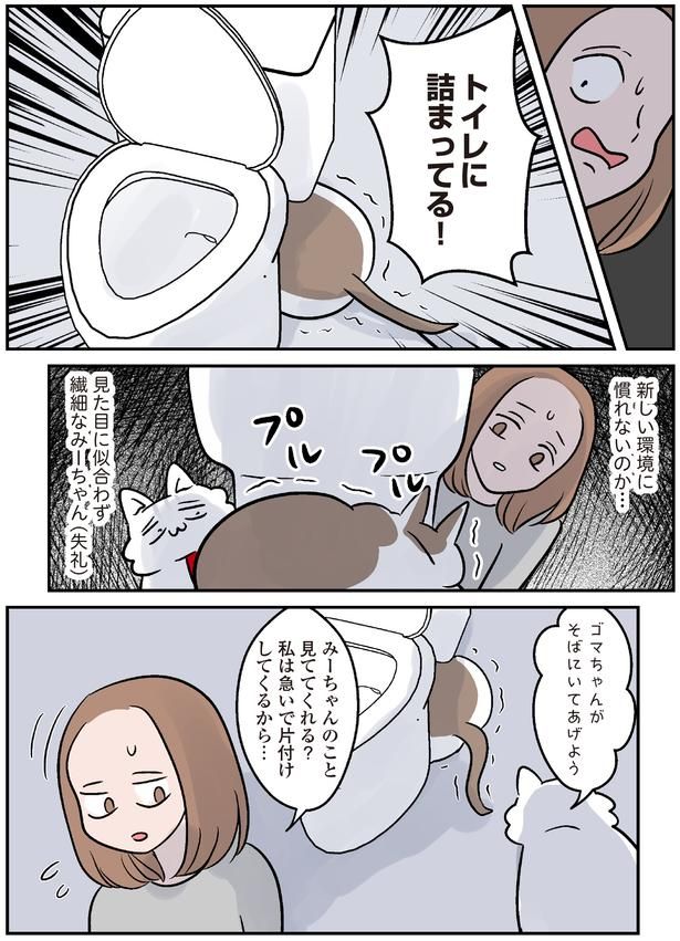 トイレに詰まってる！ （C）こばん／KADOKAWA