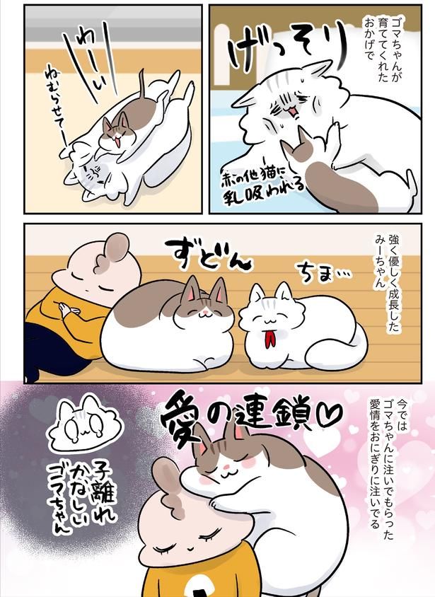 強く優しく成長したみーちゃん （C）こばん／KADOKAWA