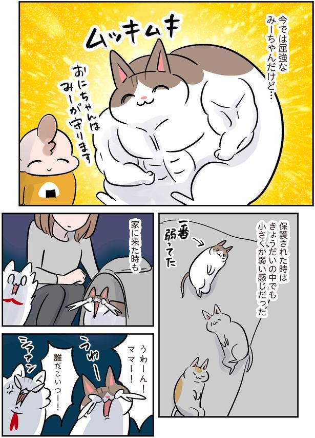 きょうだいの中でも小さくか弱い感じだった （C）こばん／KADOKAWA