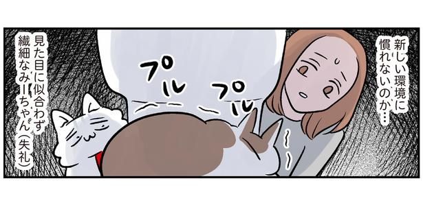 見た目に似合わず繊細なみーちゃん（失礼） （C）こばん／KADOKAWA
