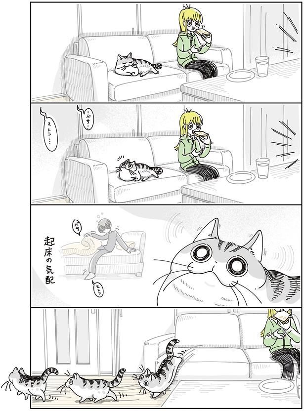 起床の気配 （C）キュルZ／KADOKAWA