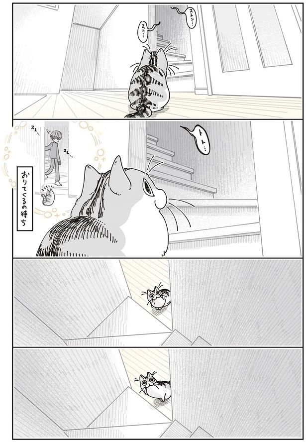 起きてくるの待ち （C）キュルZ／KADOKAWA