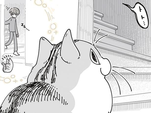なかなか降りてこない… （C）キュルZ／KADOKAWA