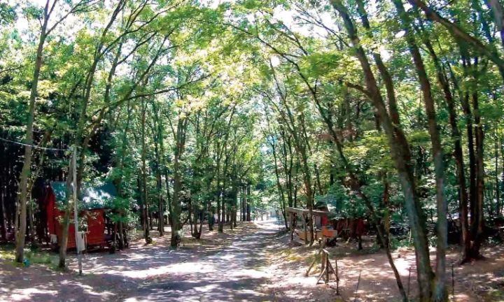 AC電源のあるキャンプ場15選【滋賀県】