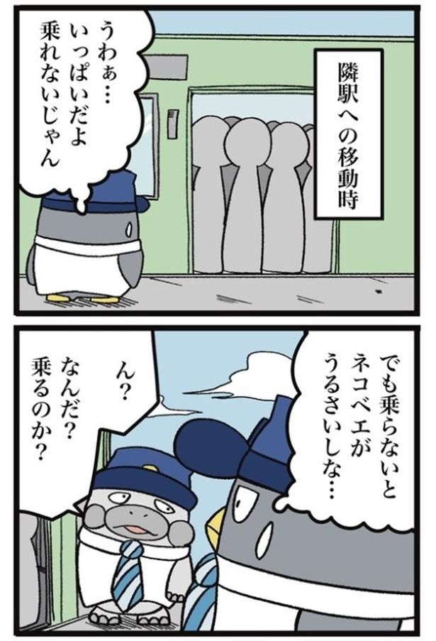 画像提供：ザバックさん
