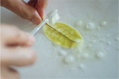 【自由研究にも】夏休みの宿題にも◎ 葉っぱで作る「葉脈標本」が満足度120％！の画像5