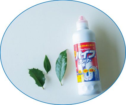 【自由研究にも】夏休みの宿題にも◎ 葉っぱで作る「葉脈標本」が満足度120％！の画像2