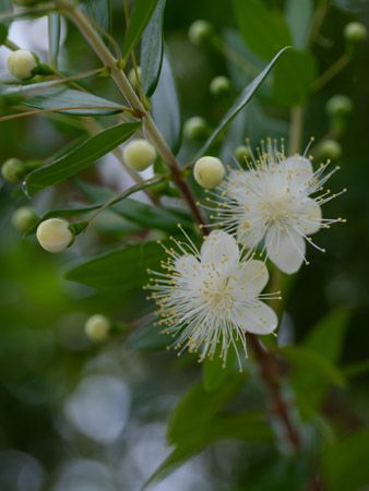 【福岡県福岡市】博多・明治公園に朝から夜まで表情を変えるオールデイダイニング「GABBI」がオープン