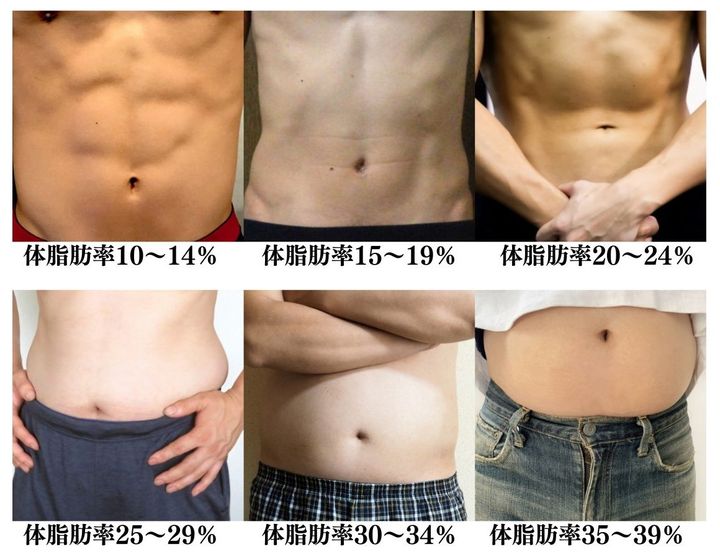 体脂肪率ごとに見た腹筋