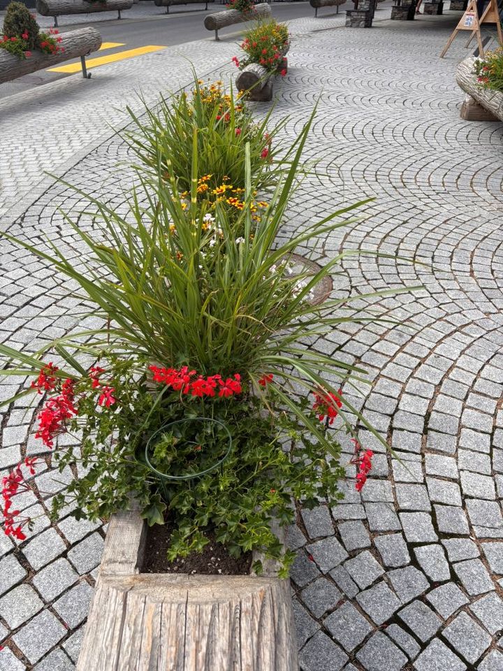 植栽