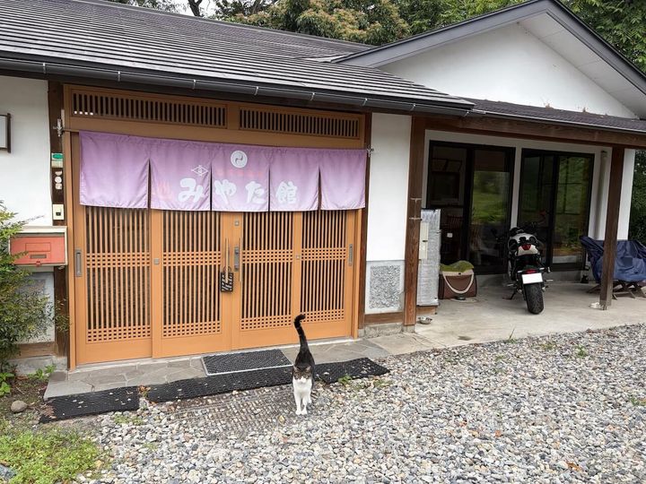 バイクのそばを歩くサスケくん