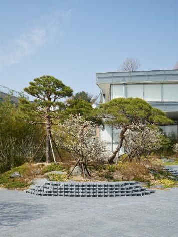 ガブリエル・オロスコの庭園／提供：リウム美術館
