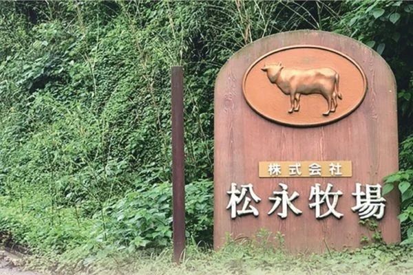 【東京都中央区】「個室焼肉 松永牧場 銀座本店」が「松永和牛カレー」を期間限定500円で販売！