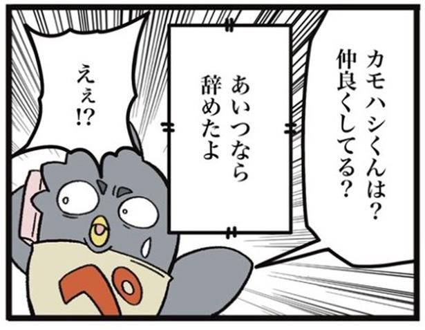 画像提供：ザバックさん