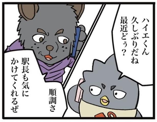 画像提供：ザバックさん