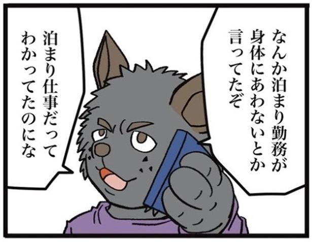 画像提供：ザバックさん
