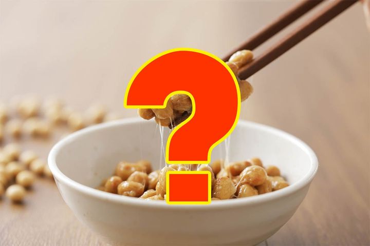 ナピラって何？