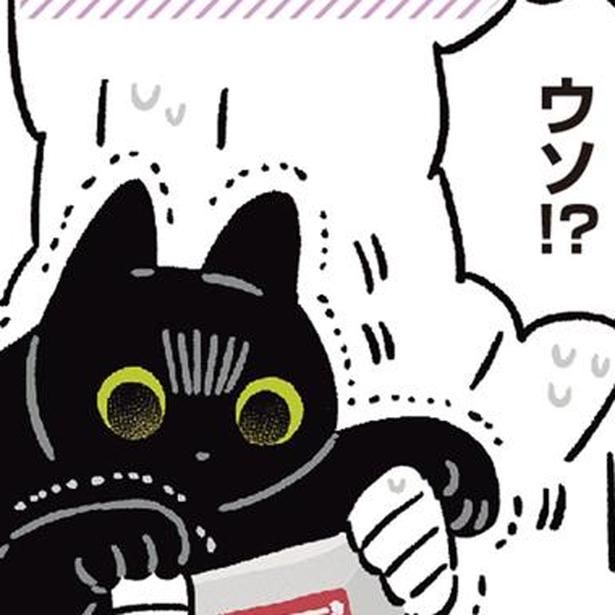 黒猫ろんの意外な好物 （C）AKR／KADOKAWA
